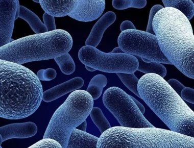 Υπερβακτήρια ανθεκτικά σε αντιβιοτικά: Υπεύθυνα για το θάνατο 33.000 ανθρώπων στην ΕΕ το 2015